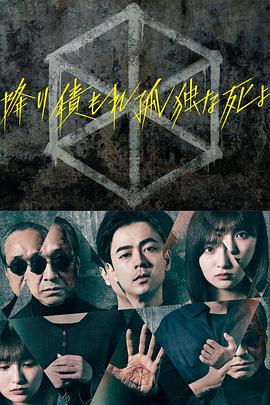 爱寻迷